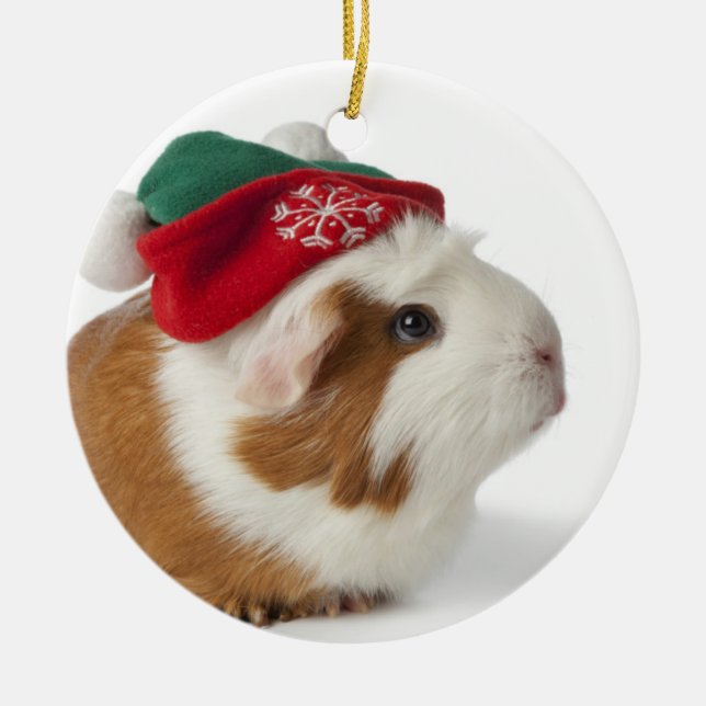 Cute Guinea Pig With Christmas Hat On White Ceramic Ornament (Front)