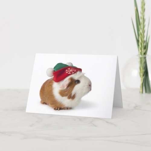 Cute Guinea Pig With Christmas Hat On White Holiday Card