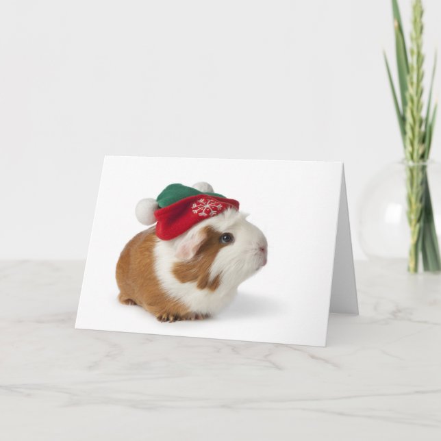 Cute Guinea Pig With Christmas Hat On White Holiday Card (Front)