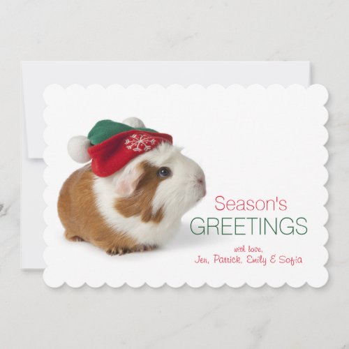 Cute Guinea Pig With Christmas Hat On White Holiday Card