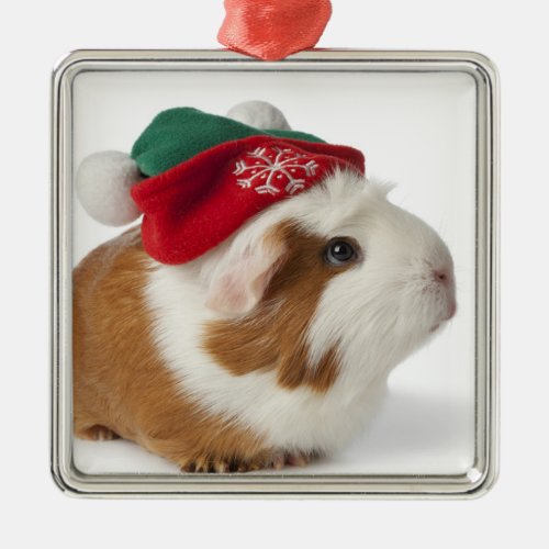 Cute Guinea Pig With Christmas Hat On White Metal Ornament