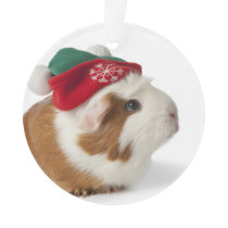 Cute Guinea Pig With Christmas Hat On White Ornament