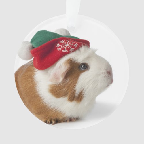 Cute Guinea Pig With Christmas Hat On White Ornament