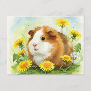 Cute Guinea pig with dandelions Postcard