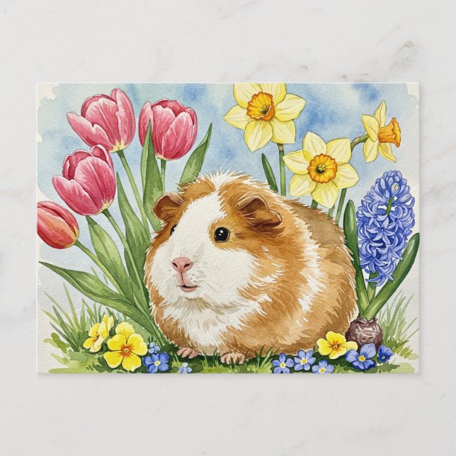 Cute Guinea pig with Spring Flowers Postcard (Front)