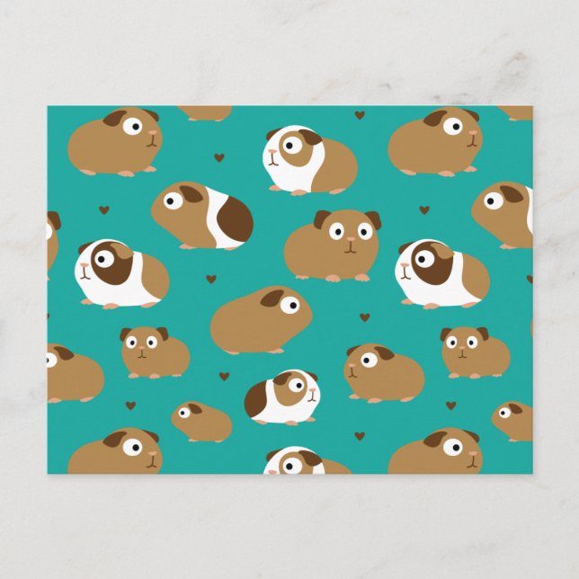 Cute Guinea Pigs Postcard (Front)