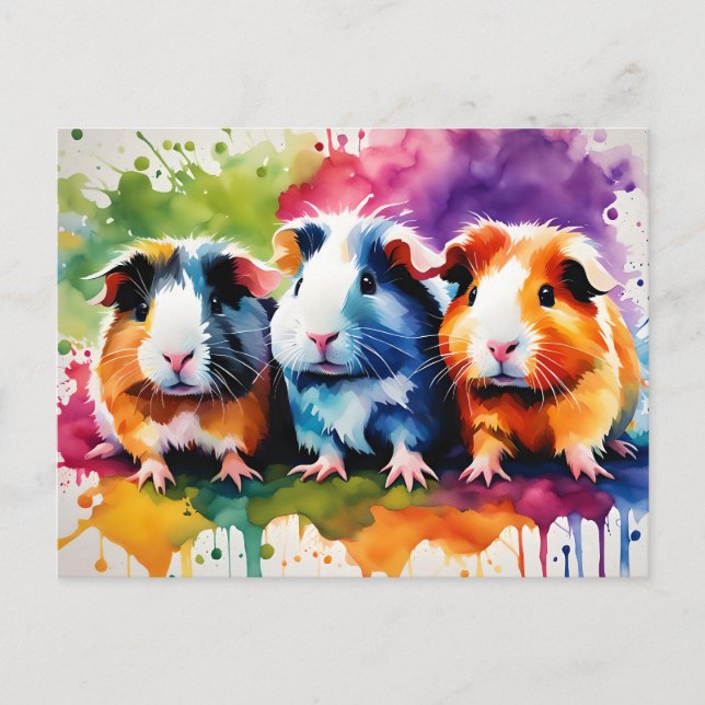 Cute guinea pigs with splashes of color, custom postcard (Front)