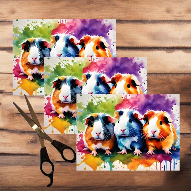 Cute guinea pigs with splashes of color tissue paper (Creator Uploaded)