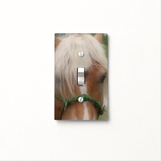 Cute Haflinger Horse Face Animal Light Switch Cover (In Situ)