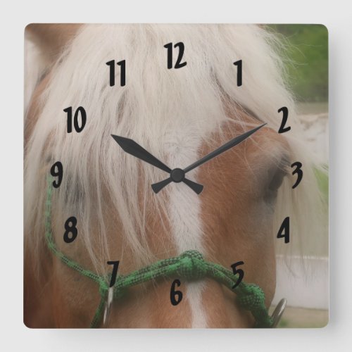 Cute Haflinger Horse Face Animal Square Wall Clock