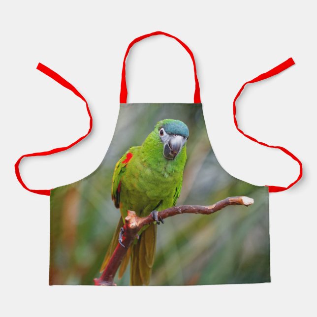Cute Hahn's Red Shouldered Mini Macaw Parrot Bird Apron (Front)