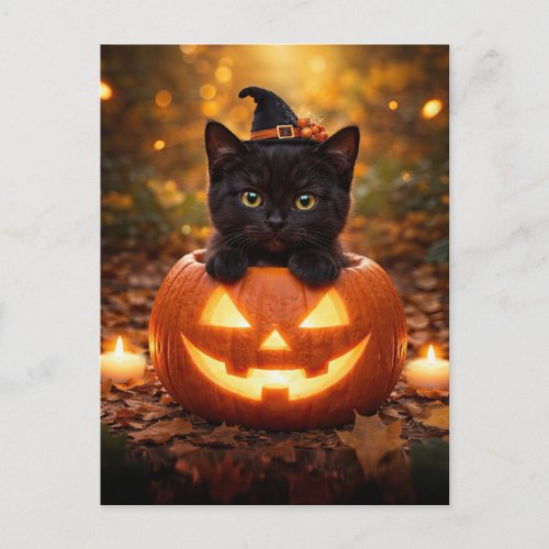 Cute Halloween Back Cat and Jack O Lantern Holiday Postcard
