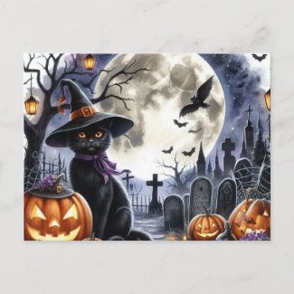 Cute Halloween Black Cat Postcard