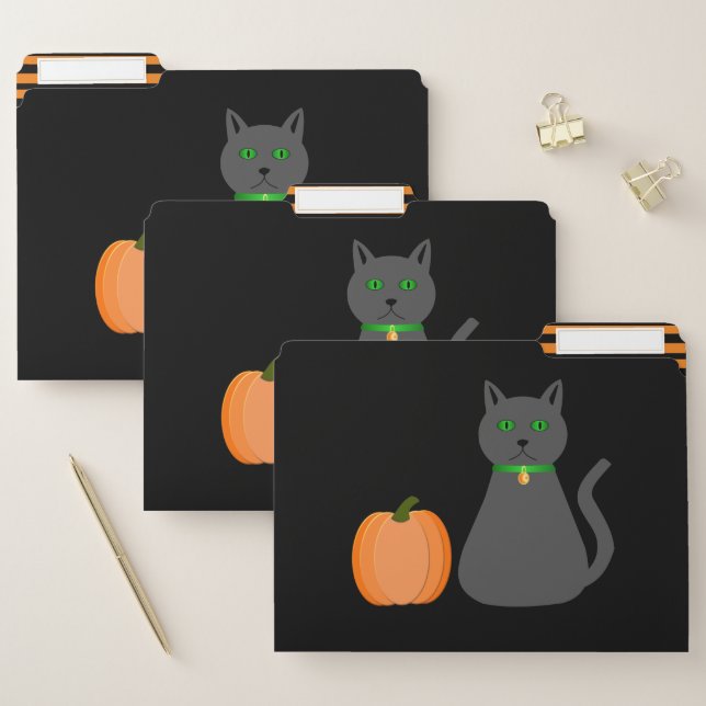 Cute Halloween Cat and Pumpkin Patterned File Folder (Set)