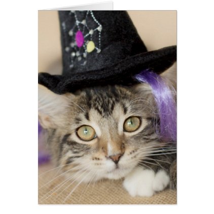 Cute Halloween Kitten Witch Card