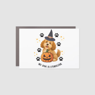 Cute Halloween Poodle Witch with Pumpkin Car Magnet