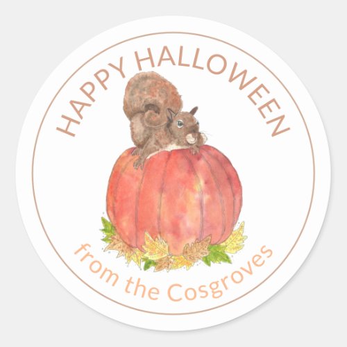 Cute Halloween Squirrel on Pumpkin Classic Round Sticker