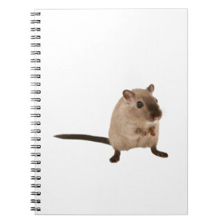 cute hampster notebook