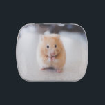 Cute hamster candy tin<br><div class="desc">Cute hamster.</div>