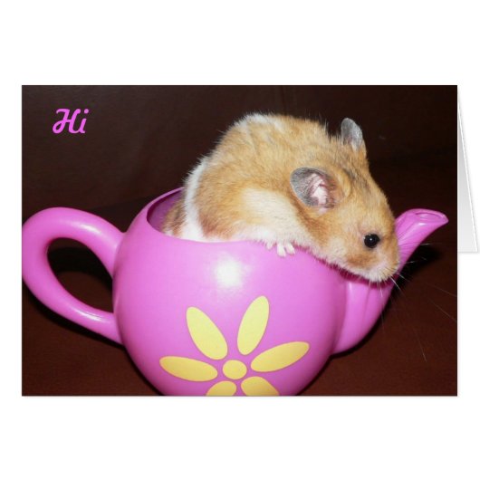 Cute Hamster Cards (Front Horizontal)