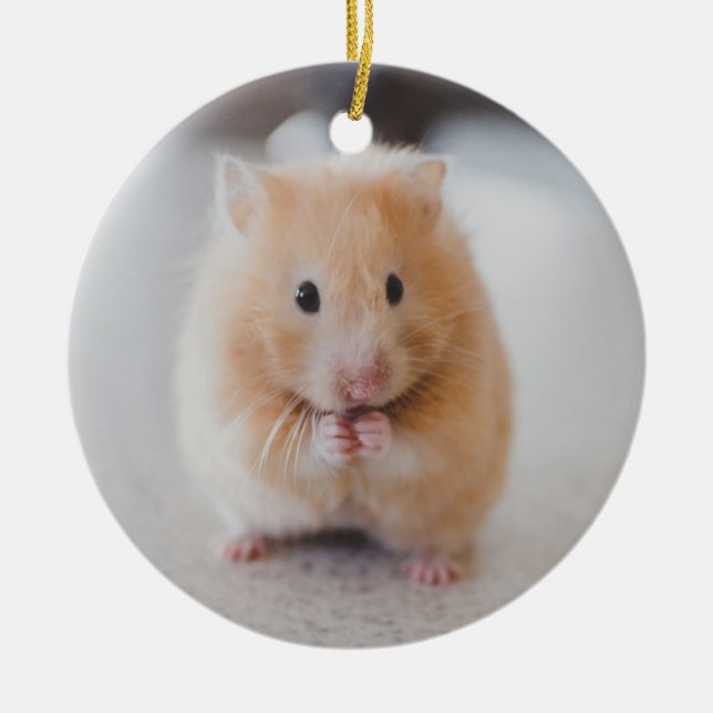 Cute hamster ceramic ornament (Front)