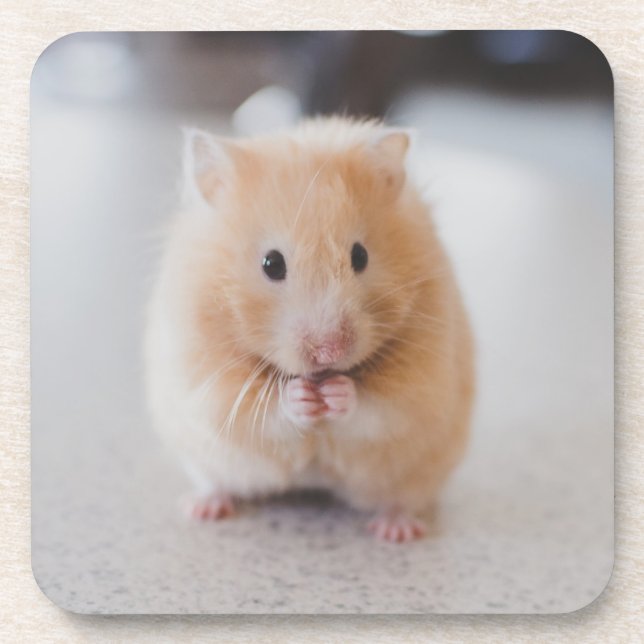 Cute hamster coaster (Front)