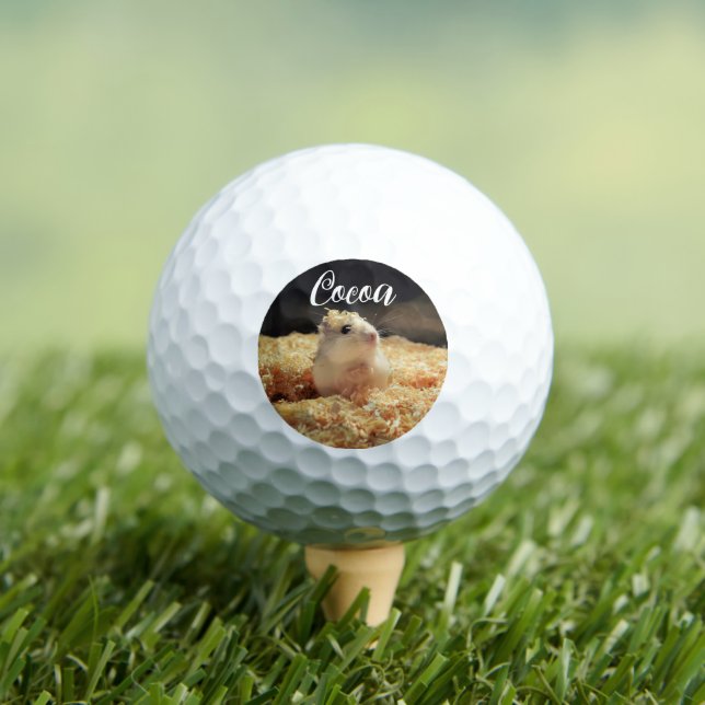 Cute Hamster Gift For Hamster Lovers Golf Balls (Insitu Tee)