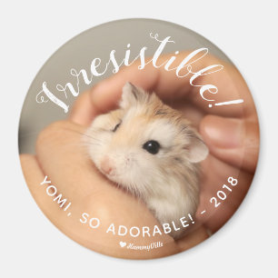 Cute Hamster Irresistible Magnet