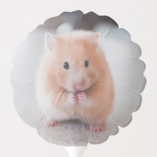 Cute Hamster Love Animals Balloon