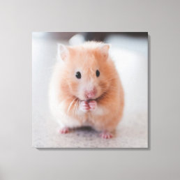 Cute Hamster Love Animals Canvas Print