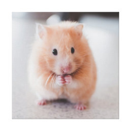Cute Hamster Love Animals Canvas Print