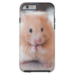 Cute Hamster Love Animals Tough iPhone 6 Case