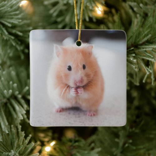 Cute Hamster Love Animals Ceramic Ornament