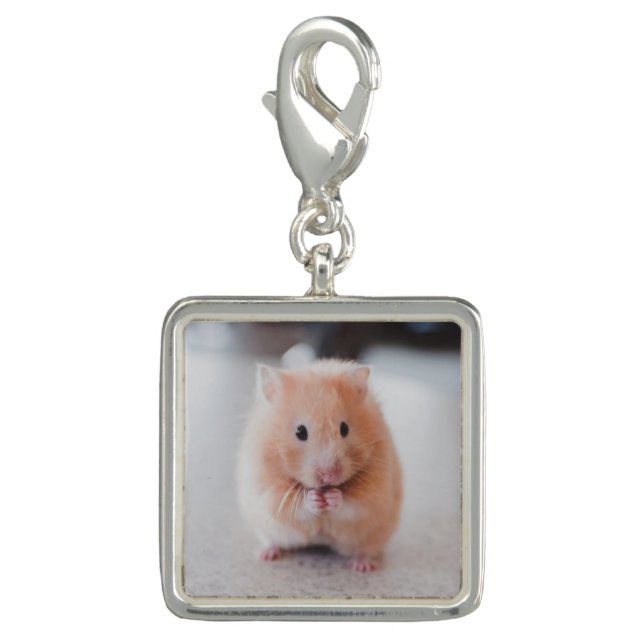 Cute Hamster Love Animals Charm (Front)