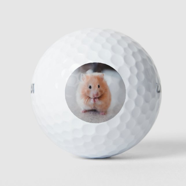 Cute Hamster Love Animals Golf Balls (Front)