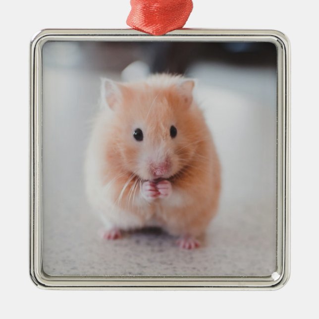Cute Hamster Love Animals Metal Ornament (Front)