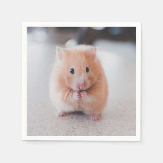 Cute Hamster Love Animals Napkins (Front)
