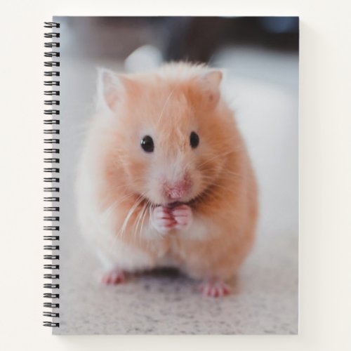 Cute Hamster Love Animals Notebook