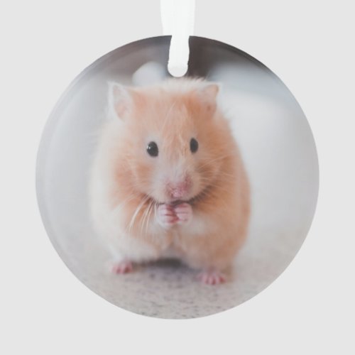 Cute Hamster Love Animals Ornament