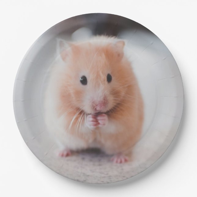 Cute Hamster Love Animals Paper Plates (Front)