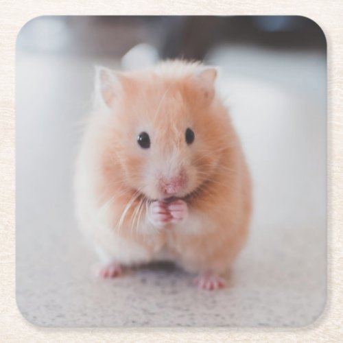 Cute Hamster Love Animals Square Paper Coaster
