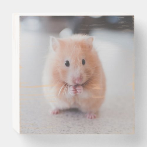 Cute Hamster Love Animals Wooden Box Sign