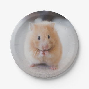 Cute hamster paper plates