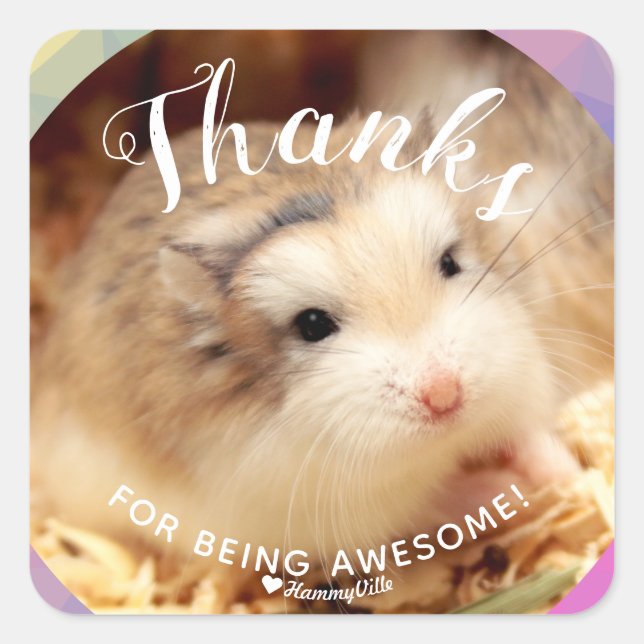 Cute Hamster Thanks for Being Awesome Square Sticker (Front)