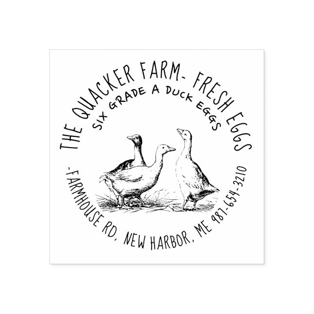 Cute Hand Drawn Illustration Local Duck Egg Carton Rubber Stamp (Imprint)