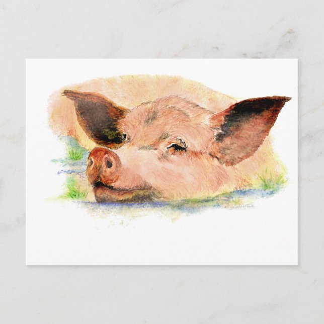 Cute Happy as a  Pig in Mud, Farm Animal, Humor Postcard (Front)