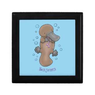 Cute happy baby platypus cartoon illustration gift box