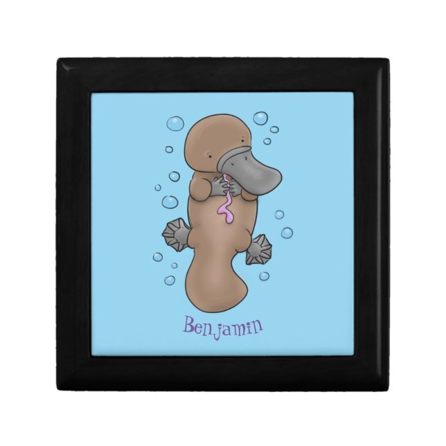 Cute happy baby platypus cartoon illustration gift box (Front)