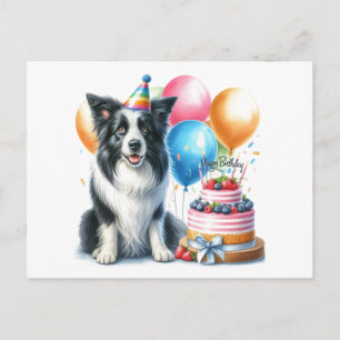 Cute Happy Birthday Border Collie Postcard