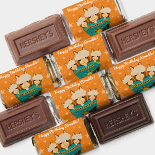 Cute Happy Birthday Boy Alpacas in Teal Serapes Hershey's Miniatures